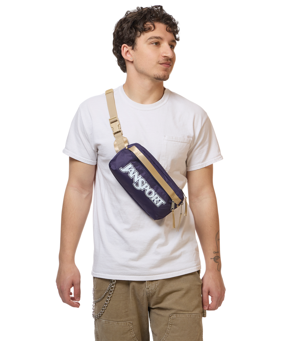 Washington Waistpack