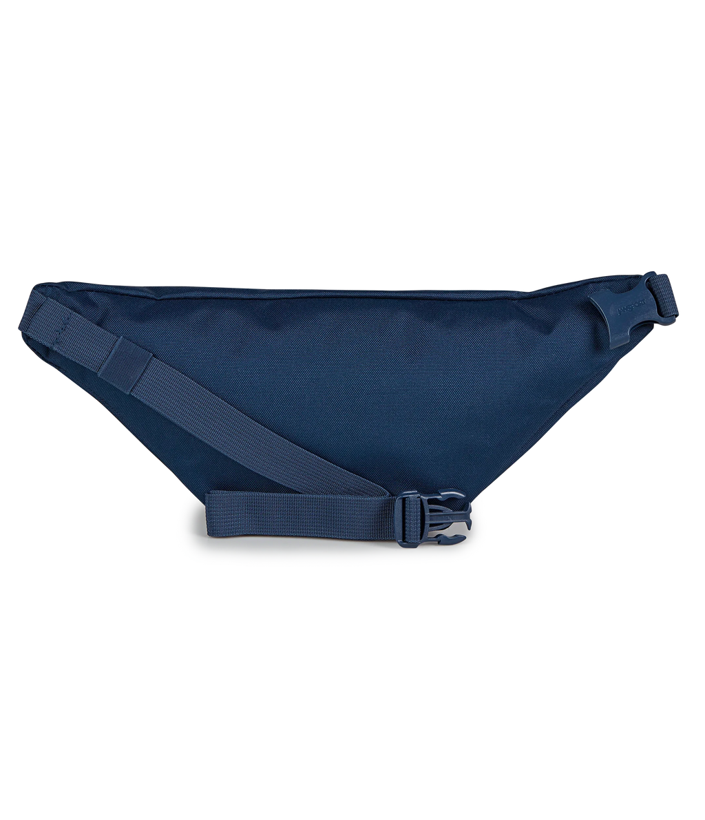 Swing Waistpack